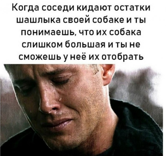 Бредзона 28.12.19