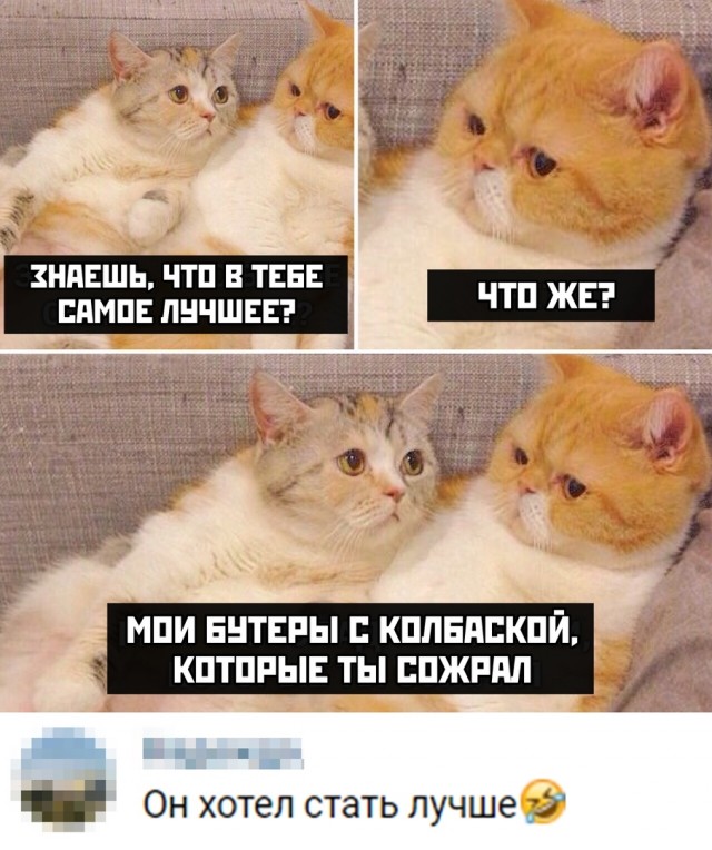 Немного юмора в картинках на вечер вторника