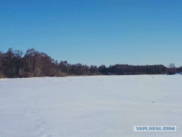 Щука в сметанном соусе