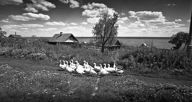 Деревенские картинки прошлого века