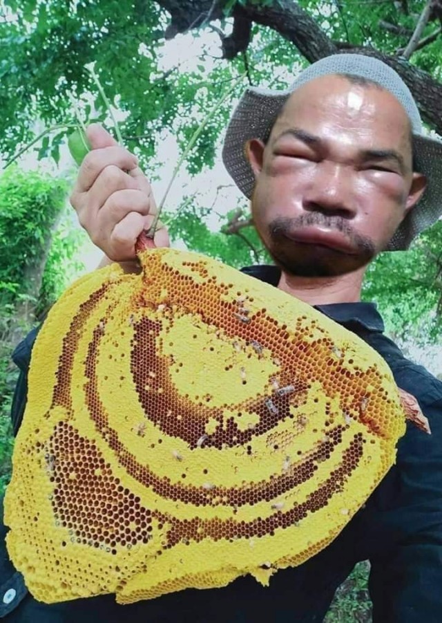 Как избавиться от пчёл