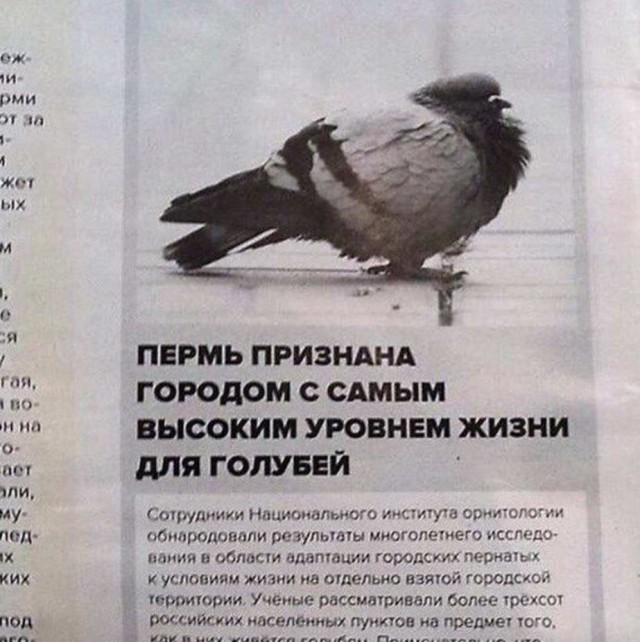 Юмор в картинках 17.08.20