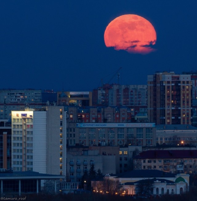 Юмор в картинках 11.10.20