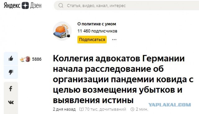 Коллегия адвокатов Германии начала расследование об организации пандемии ковида