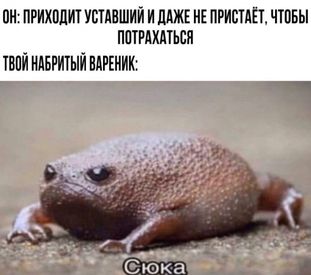 Сегодня совсем лайтовенькие картинки