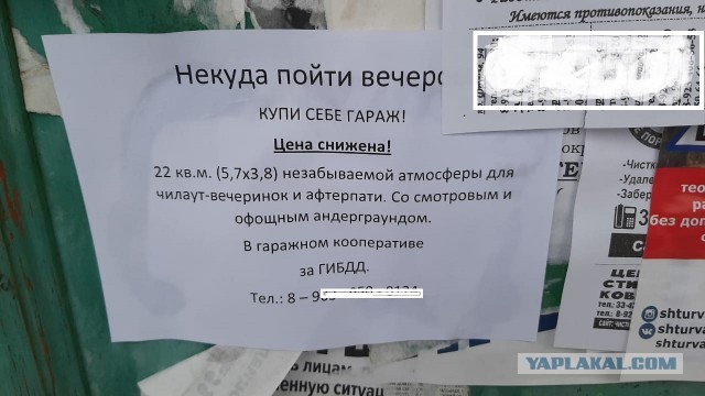 Кретинизмы из сети 20.12.20