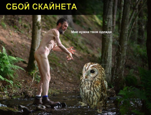 Жабы на тему странного мужика