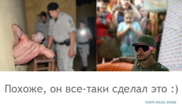 Фотожаба: Фанатка Тимати