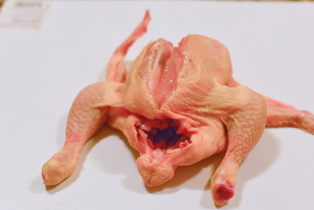 Кулинария: Двухмерный Цыпленок