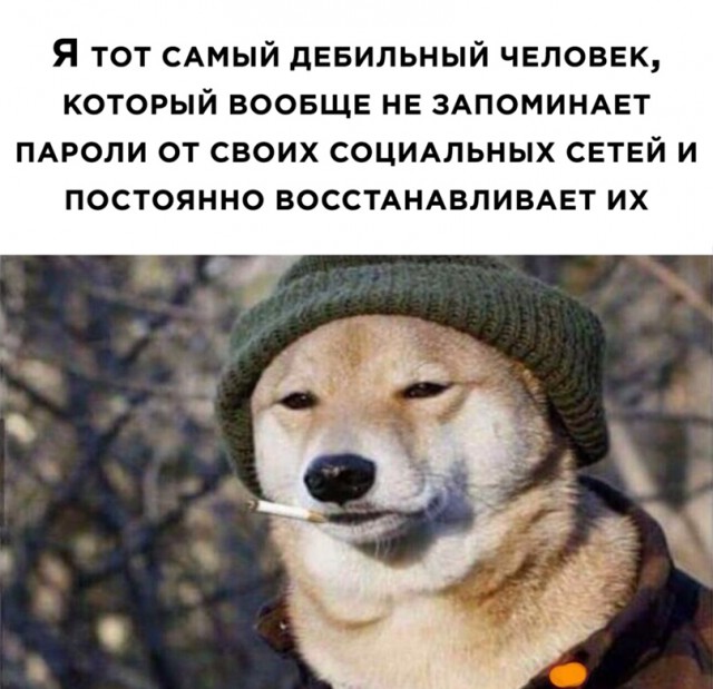 Картинки 12.02.21