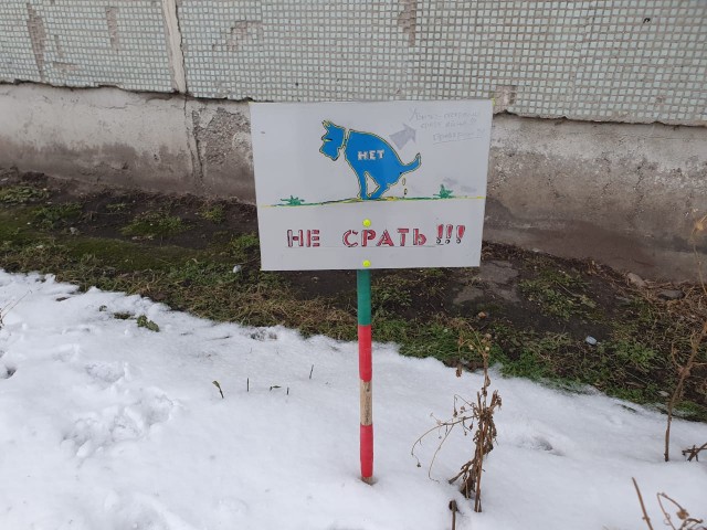 Убирайте за своими питомцами!