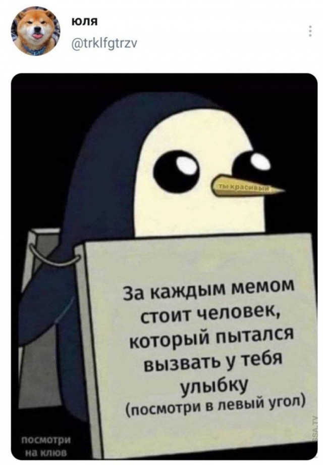 Картинки и мемы для настроения