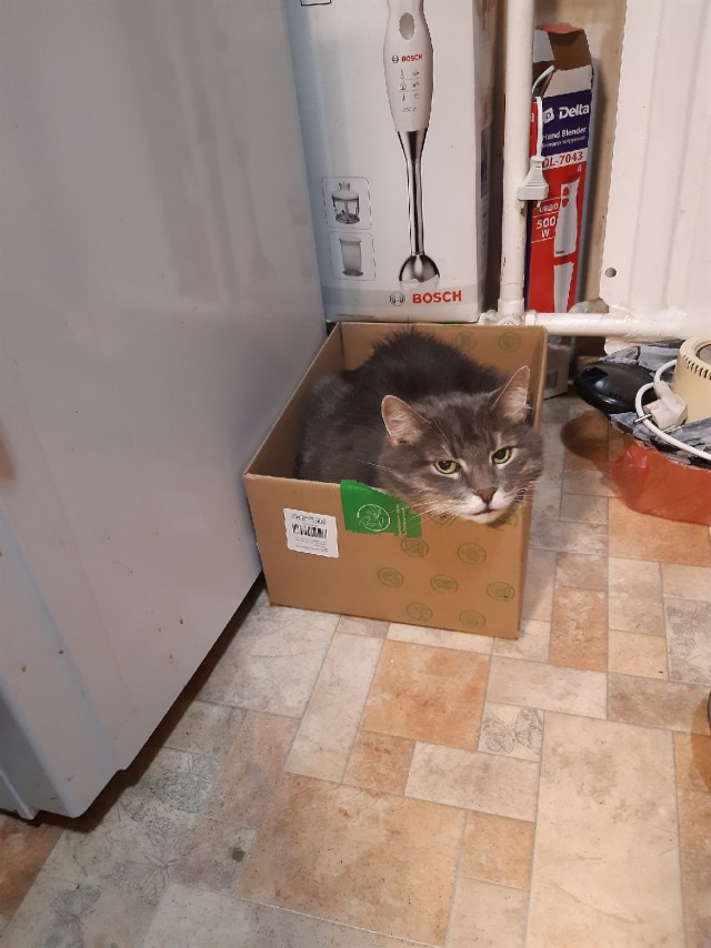 Добрые картинки 28.11.20