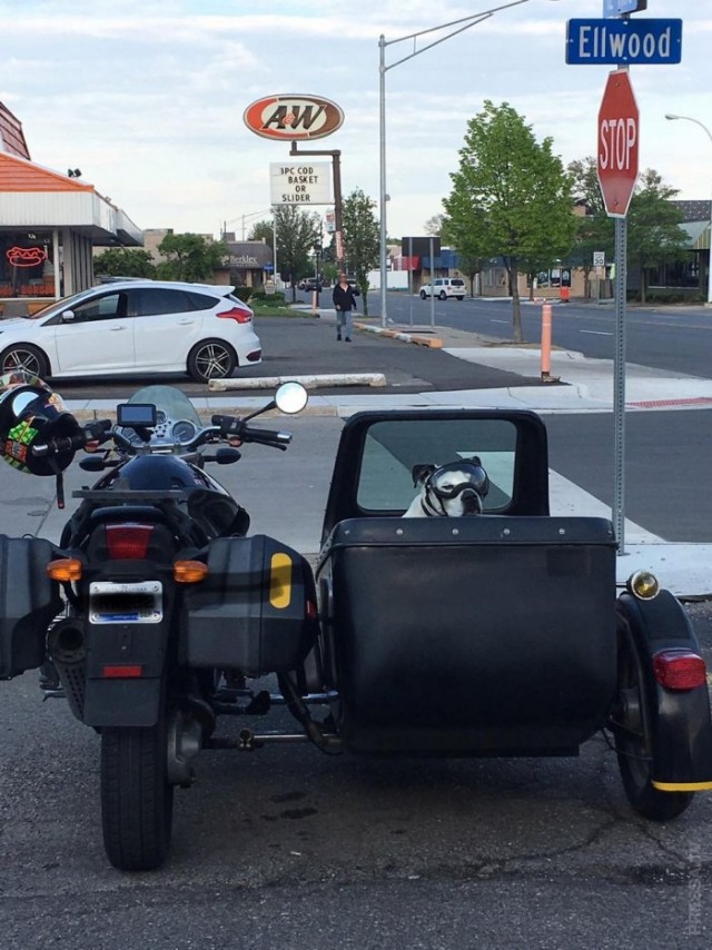 Картинки и мемы для настроения 19.05.2021