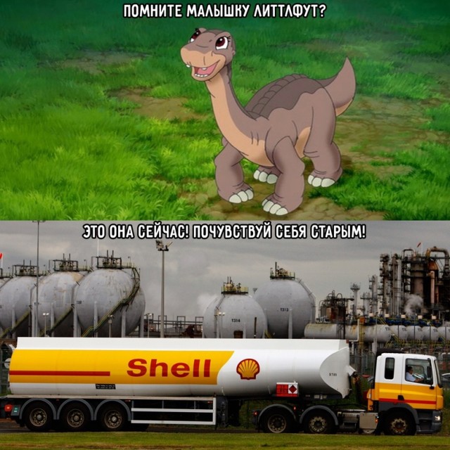 Весёлый полтишок 25.05