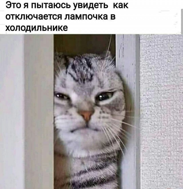 Кто здесь?!