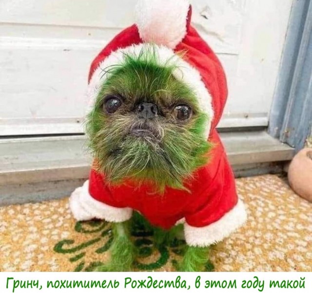Картинки обо всём 3 22.12.21