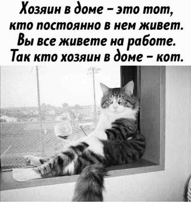 Картинки и мемы для настроения 27.01.2022