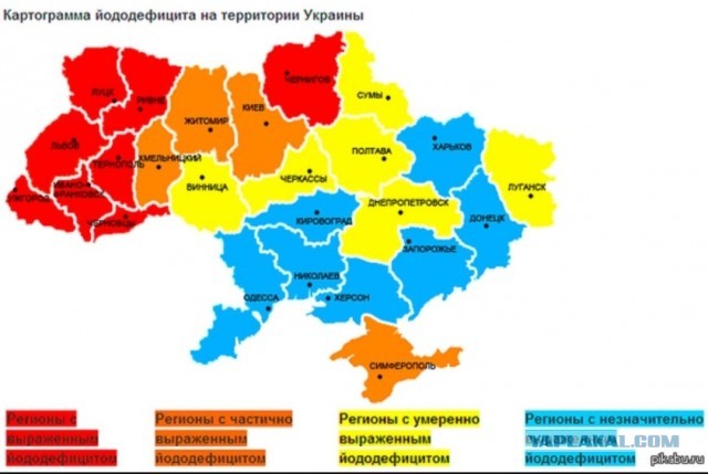 Украинское оружие против Кадыровцев