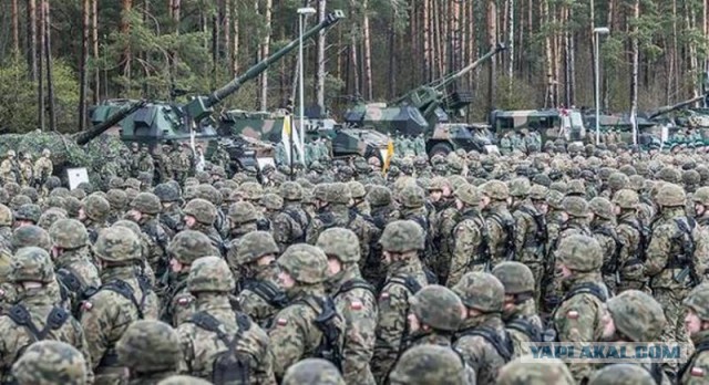Польша разработала проект "миротворческой миссии" НАТО на Украине