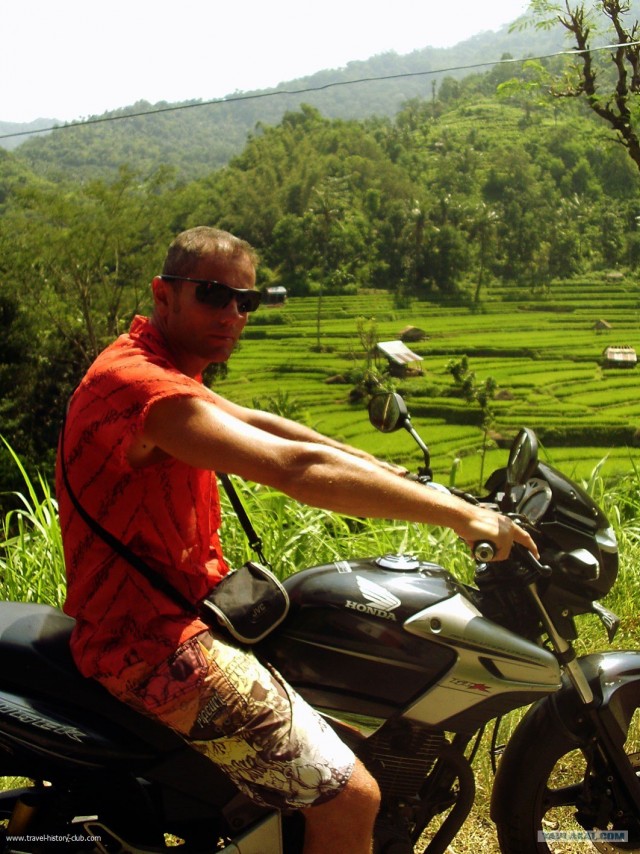 Они живут только 40 лет