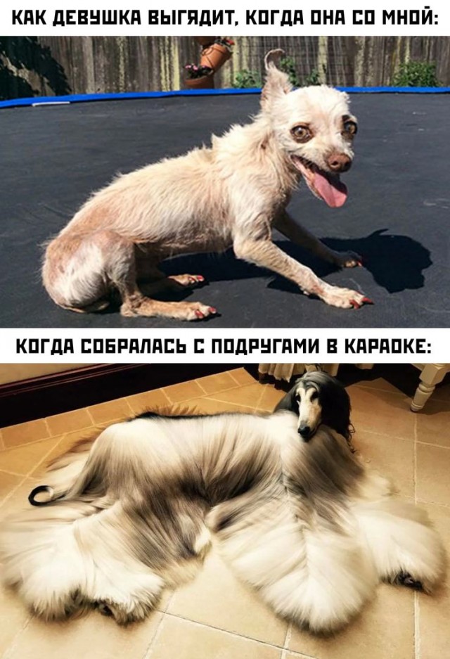 Деградация лайт 14.10.2022