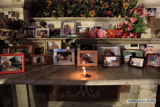 Южно-Американский дневник. Чили. сантьяго