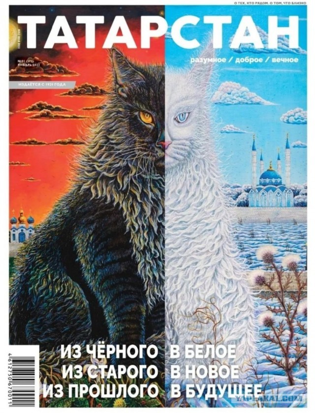 В Татарстане журнал госхолдинга республики вышел с русофобской обложкой