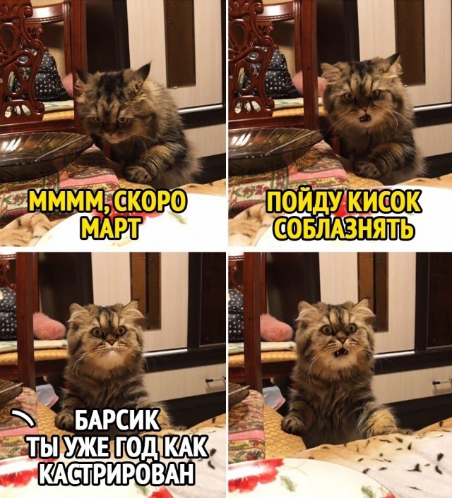 Немного картинок для настроения - 129