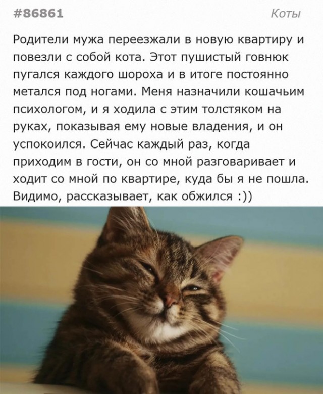 Немного картинок для настроения - 161