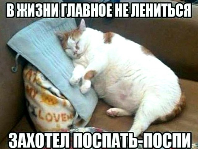 Вторничные веселые картинки с просторов Сети