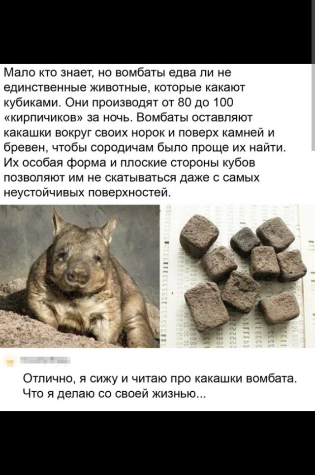 Я тёща. Проблемы с зятем. Дайте совет