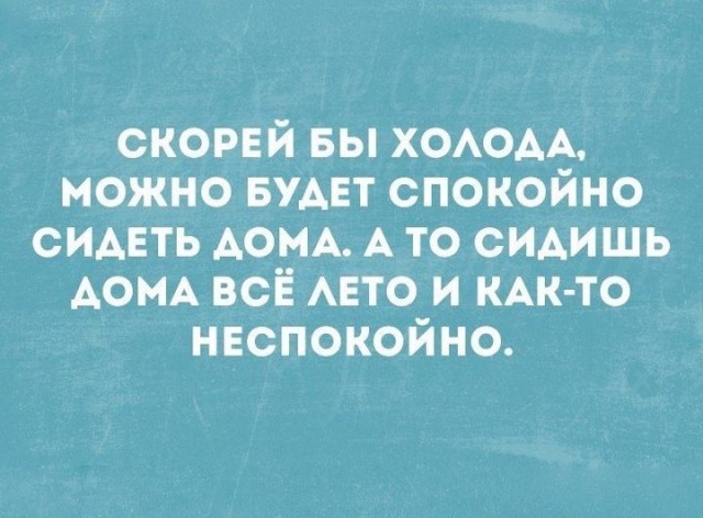 Баяны и аккордеоны. Смешные и не очень