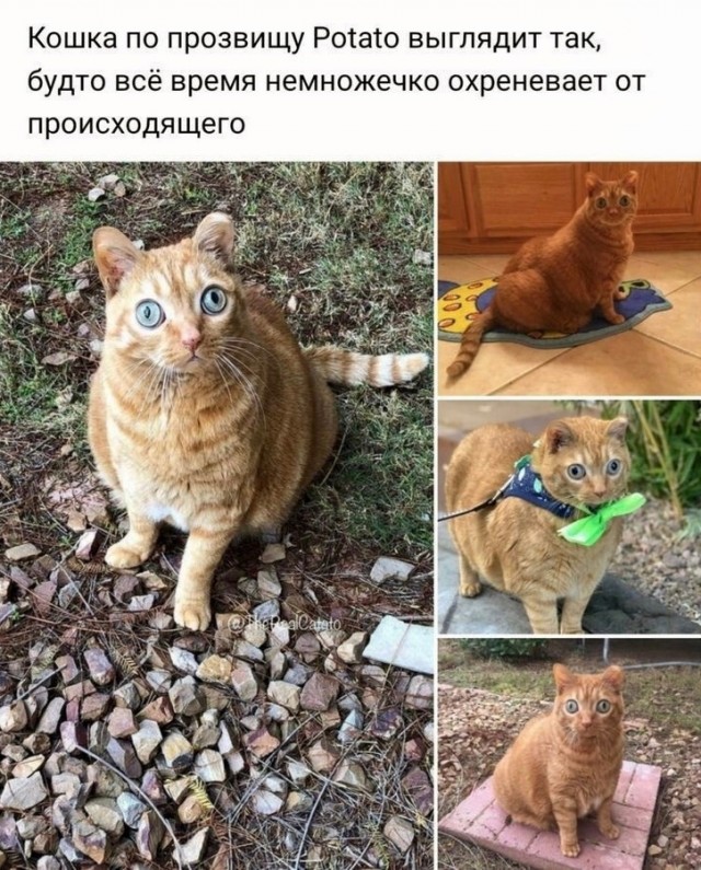 Так себе картинки 17.07.23