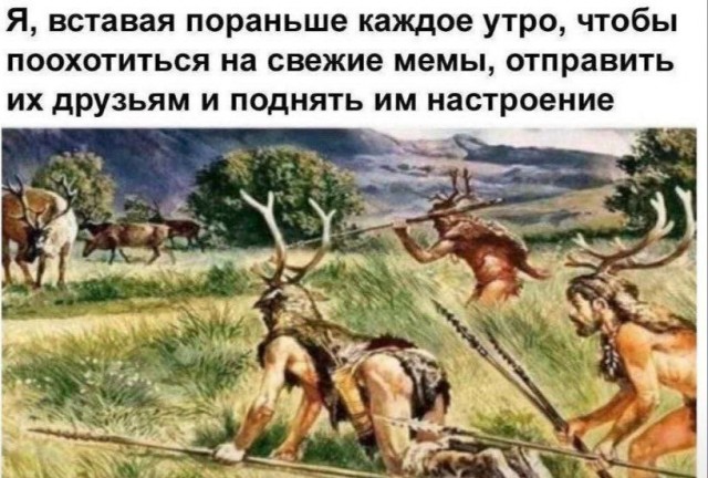 Весёлый полтишок 23.07.23