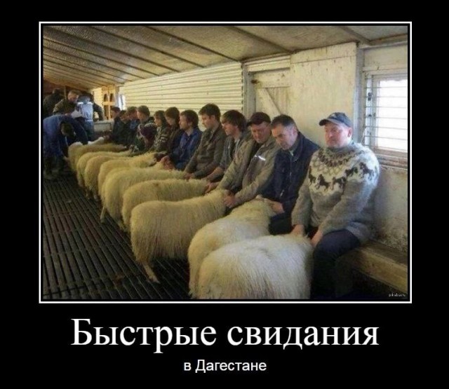 Занимательная теология-4