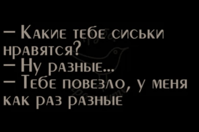 Сосиськи для кота
