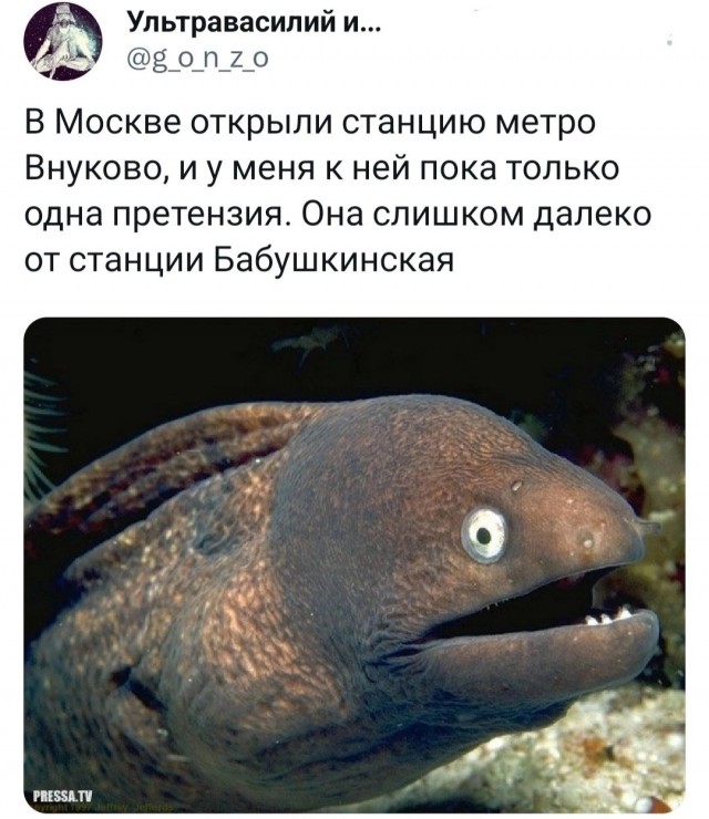 Картинки от Scodero - 6