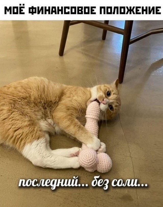 Отряд быстрого деградирования