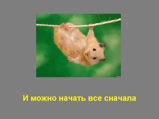 Пятничный мотиватор