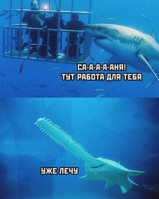 Отряд быстрого деградирования