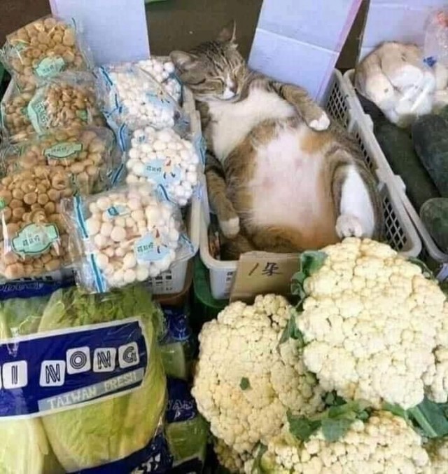 С добрым утром