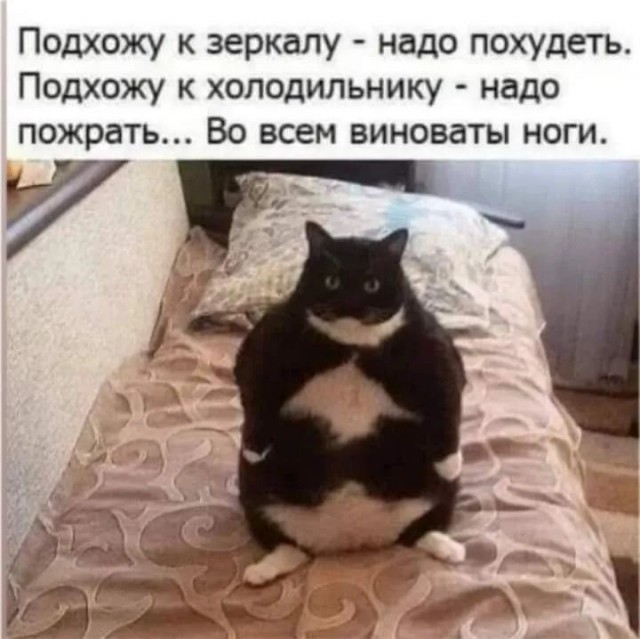 Завалялось тут случайно немного забавных картинок