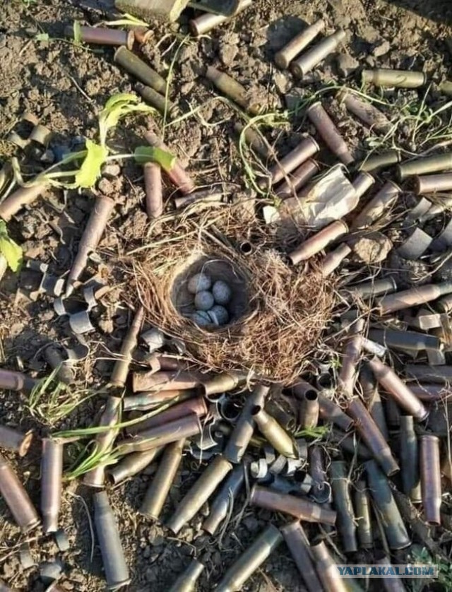 Природа берет свое