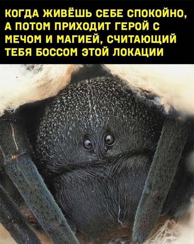 Завалялось тут случайно немного забавных картинок