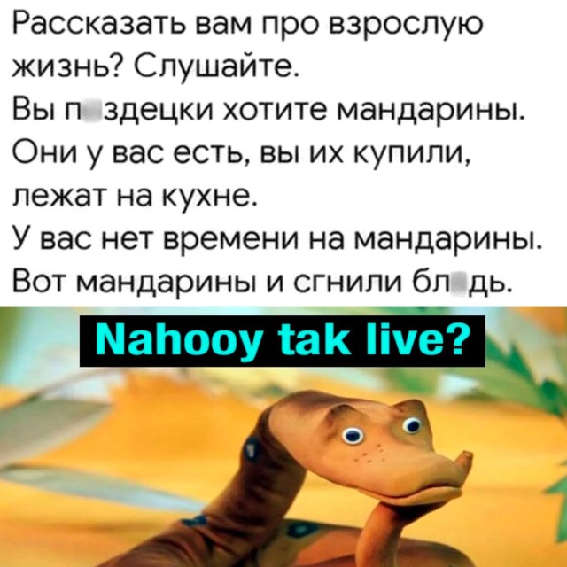 Весёлый полтишок 29.12.24