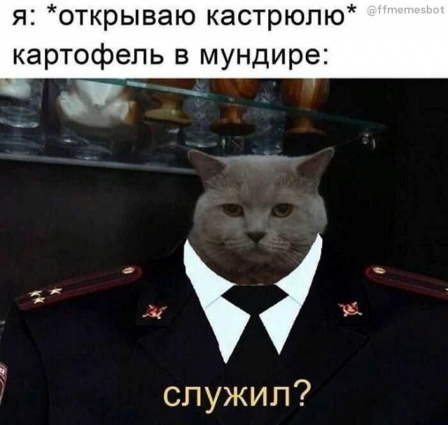 Среда пришла - неделя прошла, дорогие деграданты