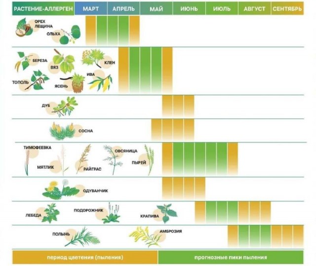 В Госдуме предложил давать аллергикам внеплановый оплачиваемый отпуск