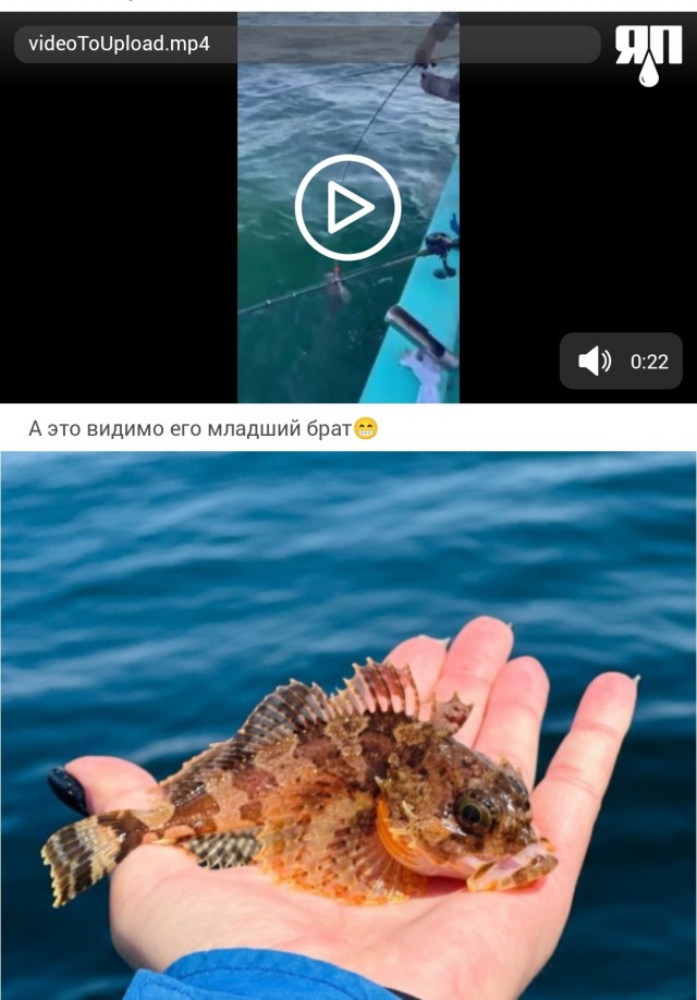 Открытие морского сезона 2025