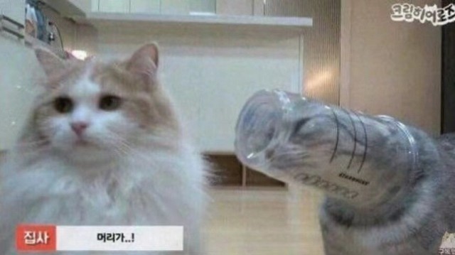 Дочь на тебя жалуется...